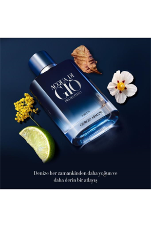Giorgio Armani Acqua Di Gio Profondo Parfum EDP 200 ml Erkek Parfüm 
