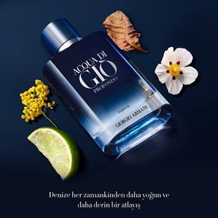 Giorgio Armani Acqua Di Gio Profondo Parfum EDP 100 ml Erkek Parfüm