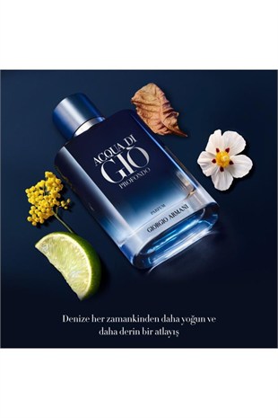 Giorgio Armani Acqua Di Gio Profondo Parfum EDP 200 ml Erkek Parfüm 