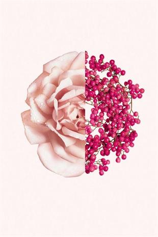 Givenchy Irresistible Fraiche EDT 50 ml Kadın Parfüm