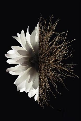 Givenchy L‘Interdit EDP 125 ml Kadın Parfüm