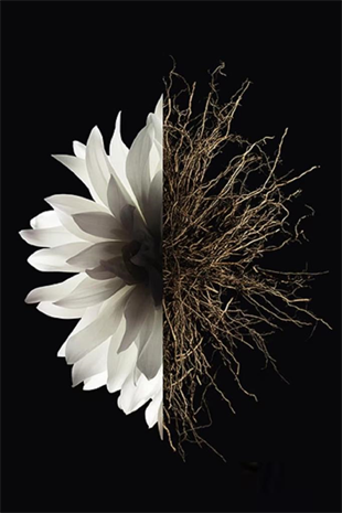 Givenchy L‘Interdit EDP 125 ml Kadın Parfüm