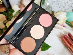 Golden Rose Metals Sculpting Palette 