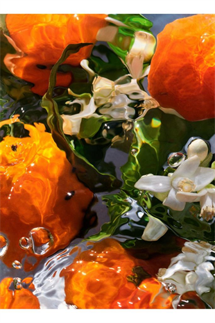 Guerlain Aqua Allegoria Mandarine Basilic EDT 75 ml Kadın Parfüm