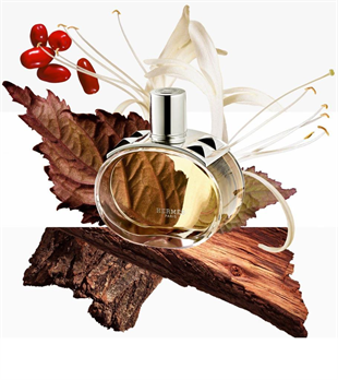 Hermes Barenia EDP 100 ml Kadın Parfüm