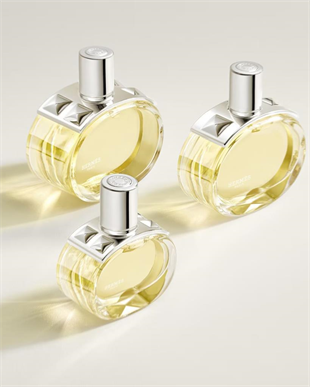 Hermes Barenia EDP 100 ml Kadın Parfüm