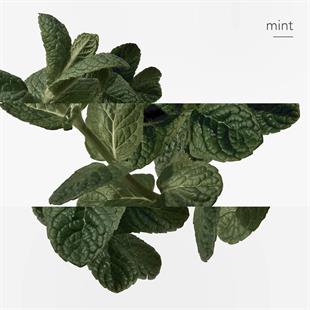 Hermes Eau D‘Orange Verte EDC 100 ml