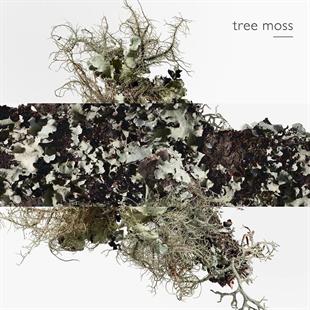 Hermes Eau D‘Orange Verte EDC 100 ml