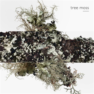 Hermes Eau D‘Orange Verte EDC 100 ml