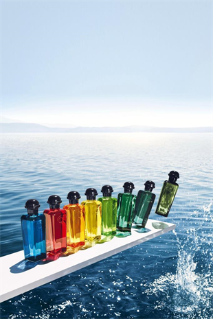 Hermes Eau De Citron Noir EDC 100 ML