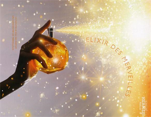 Hermes Eau Des Merveilles EDT 100 ml Kadın Parfüm