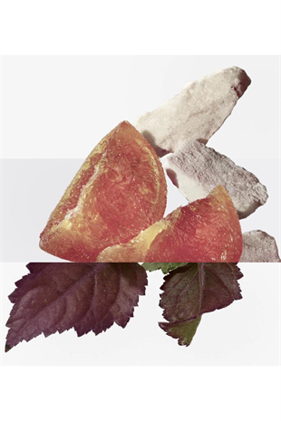 Hermes Elixir Des Merveilles EDP 100 ml Kadın Parfüm