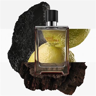 Hermes Terre D‘Hermes EDP Intense 100 ml Erkek Parfüm
