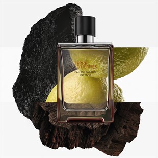 Hermes Terre D‘Hermes EDP Intense 100 ml Erkek Parfüm