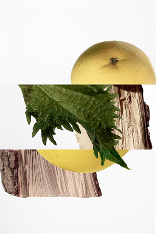 Hermes Terre D‘Hermes Parfum EDP 200 ml Erkek Parfüm