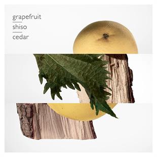 Hermes Terre DHermes EDP 75 ml Erkek Parfüm