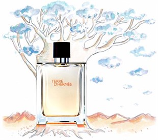 Hermes Terre DHermes EDP 75 ml Erkek Parfüm