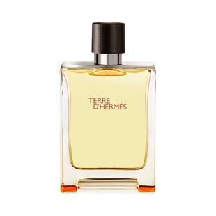 Hermes Terre DHermes EDT 100 ml Erkek Parfüm