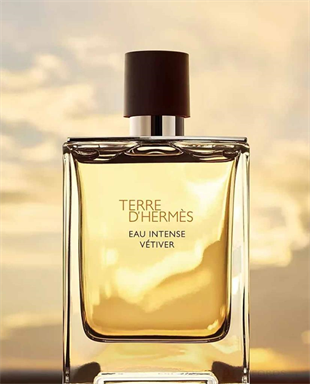 Hermes Terre DHermes Intense Vetiver EDP 200 ml Erkek Parfüm
