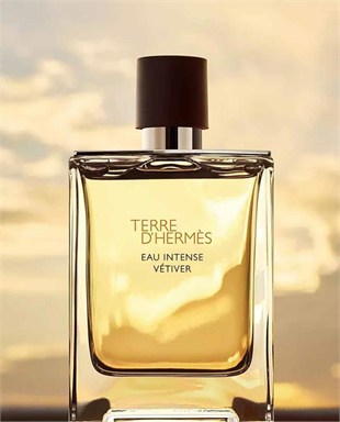 Hermes Terre DHermes Intense Vetiver EDP 200 ml Erkek Parfüm