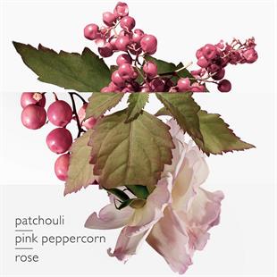 Hermes Twilly Eau Poivree EDP 30 ml Kadın Parfüm