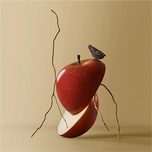 Hugo Boss Bottled EDP 200 ml Erkek Parfüm