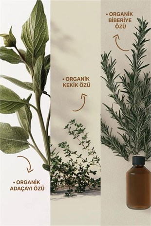 Insight Kepekli Saçlar İçin Arındırıcı Şampuan 350 ml