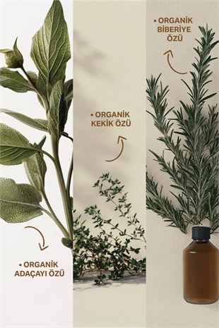 Insight Kepekli Saçlar İçin Arındırıcı Şampuan 350 ml