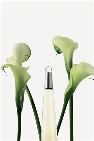 Issey Miyake L‘Eau D‘Issey EDT 100 ml Kadın Parfüm Seti
