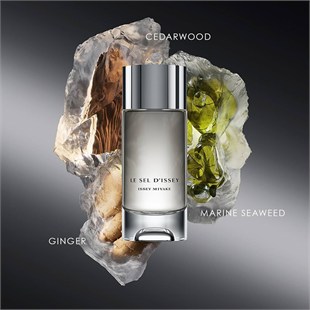 Issey Miyake Le Sel Dissey EDT 100 ml Erkek Parfüm