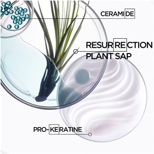 Kerastase Resistance Bain Force Architecte 1-2 Yıpranmış Saçlar Için Yeniden Yapılandırıcı Şampuan 500 ml