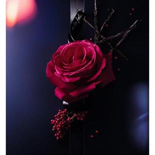 Lancome La Nuit Tresor A La Folie EDP 50 ml Kadın Parfüm