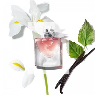 Lancome La Vie Est Belle EDP 100 ml Kadın Parfüm