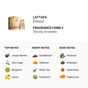 Lattafa Emeer EDP 100 ml Erkek Parfüm