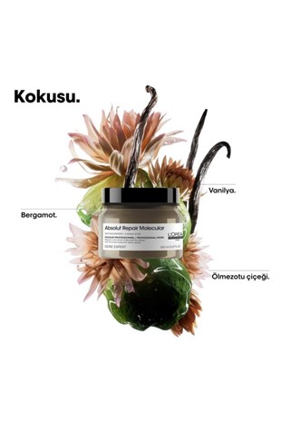 Loreal Professionnel Absolut Repair Molecular Tüm Yıpranmış Saçlar İçin Yoğun Onarıcı Maske 150 ml
