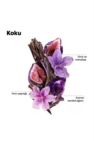 Loreal Professionnel Keratin Alpha Sleek Şampuan 1500 ml