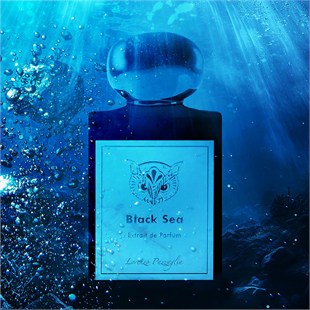 Lorenzo Pazzaglia Black Sea Extrait De Parfum 50 ml