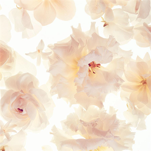 Michael Kors Super Gorgeous Intense EDP 100 ml Kadın Parfüm