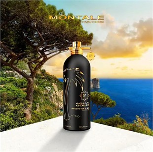 Montale Aqua Gold EDP 100 ml