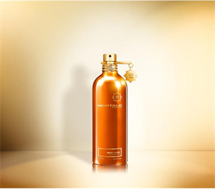 Montale Honey Aoud EDP 100 ML