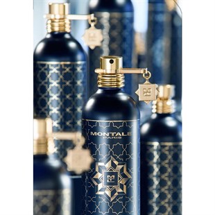 Montale Infinty EDP 100 ML