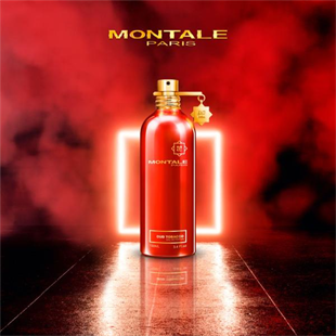 Montale Oud Tabacco EDP 100 ML