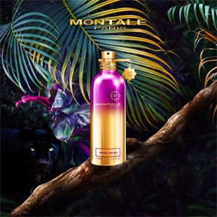 Montale Sensual Instinct EDP 100 ML