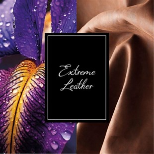 Montblanc Collection Extreme Leather Smoked Iris EDP 125 ml Erkek Parfüm