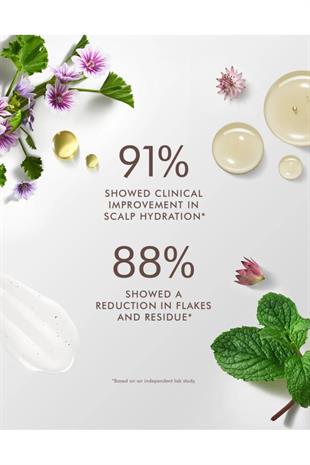 Moroccanoil Scalp Saç Derisi Dengeleyici Bakım Şampuanı 250 ml