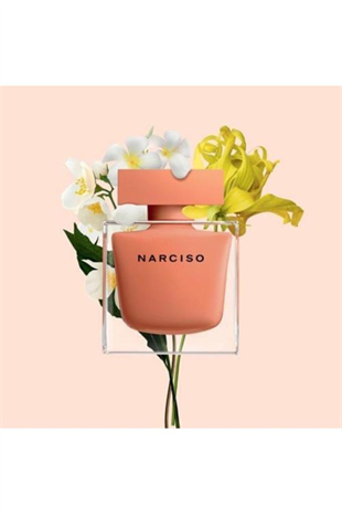 Narciso Rodriguez Ambree EDP 50 ml Kadın Parfüm