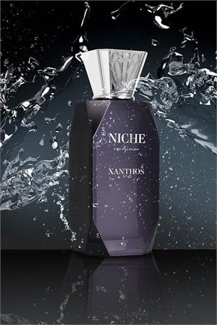 Niche Exclusive Xanthos EDP 100 ml