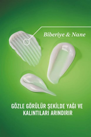 OGX Rosemary Mint (BİBERİYE & NANE) Arındırıcı Saç Bakım Kremi 385 ml