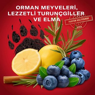 Old Spice Bearglove 3In1 Erkek Duş Jeli ve Şampuan 1000 ml XXL 