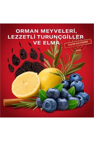 Old Spice Bearglove Erkek Deodorant Spreyi 150 ml